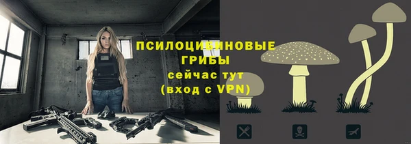 дживик Балахна