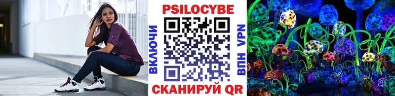 Псилоцибиновые грибы мицелий  Красный Сулин 